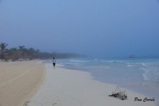 mini_DSC08409.JPG