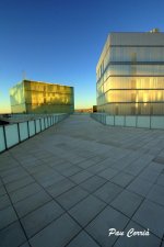 mini_DSC07747.JPG