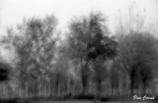 mini_DSC07187.JPG