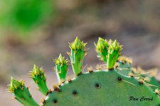 mini_DSC01490.jpg