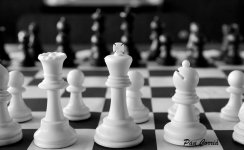 mini_DSC04943.JPG
