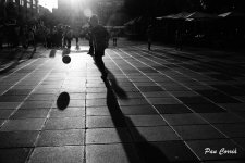 mini_DSC00592.JPG