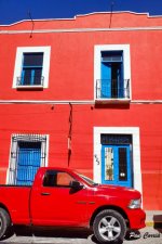 mini_DSC09260 (1).jpg