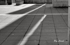 mini_DSC05015 (1).jpg