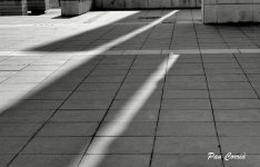 mini_DSC05015 (1).jpg