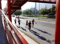 mini_DSC08347.JPG