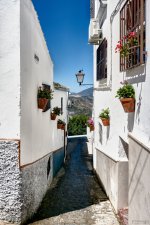 calle-de-olvera_49573680471_o.jpg