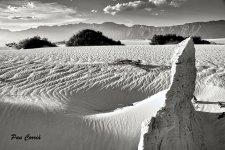 mini_DSC04565 (1).jpg