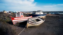 DSC04350r.jpg