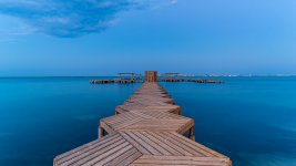 DSC01029r.jpg