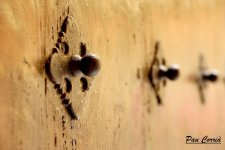 mini__DSC6581.JPG
