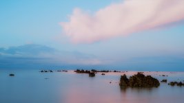 DSC00564-1r.jpg