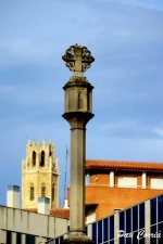 mini_DSC04548.JPG