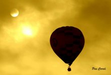 mini_DSC04554.JPG