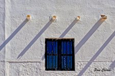 mini_DSC01107.jpg