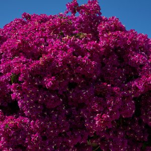 Lanzarote (5).jpg