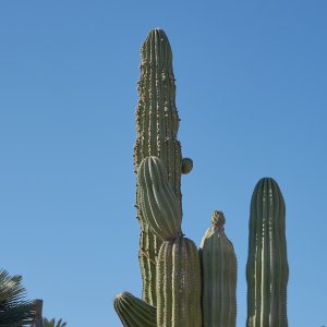 Lanzarote (6).jpg