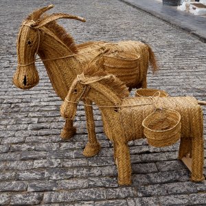 Lanzarote (245).jpg