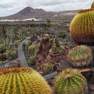 Lanzarote (321).jpg