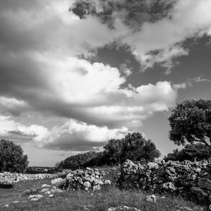 Paisaje en blanco y negro