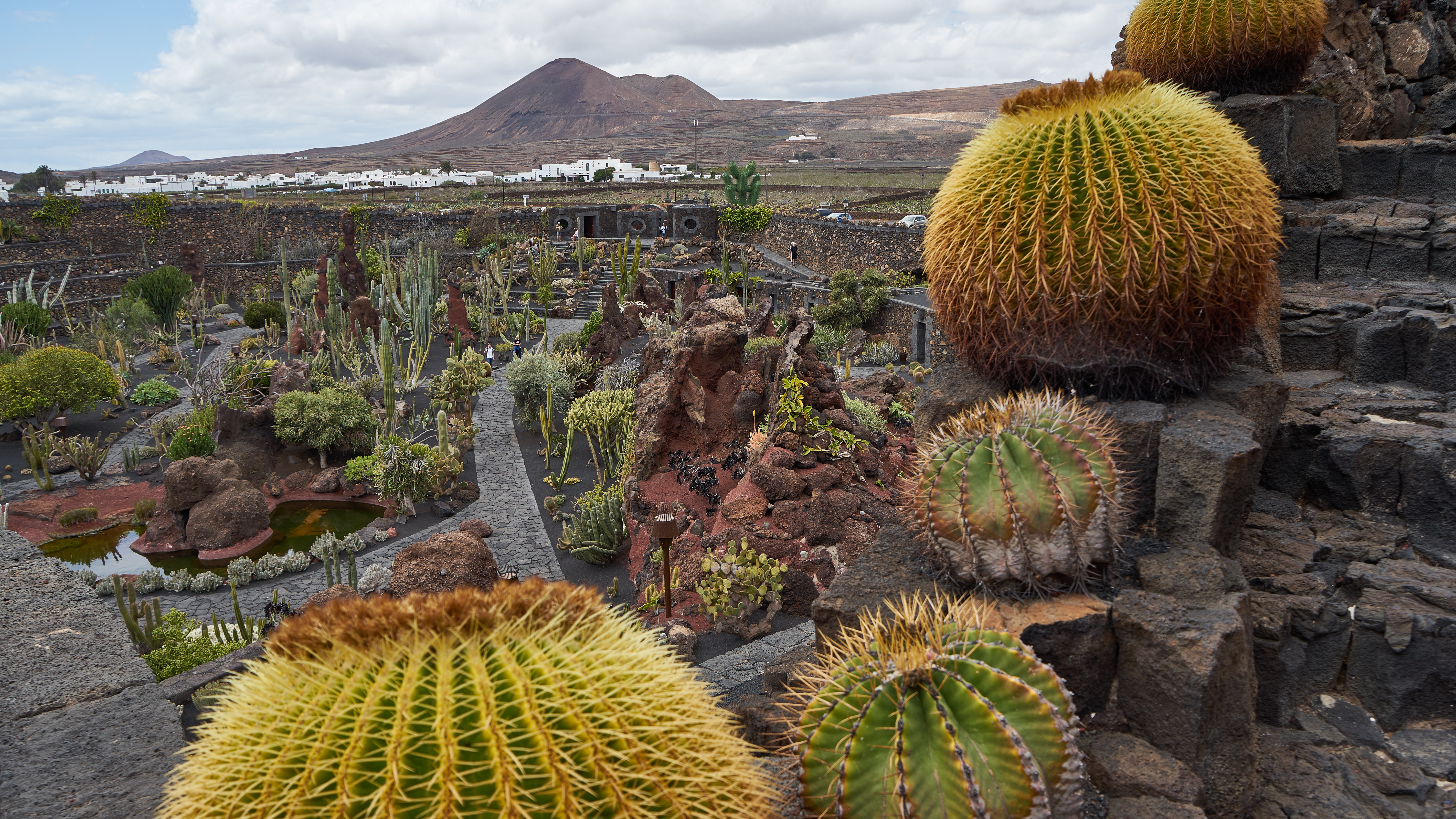 Lanzarote (321).jpg