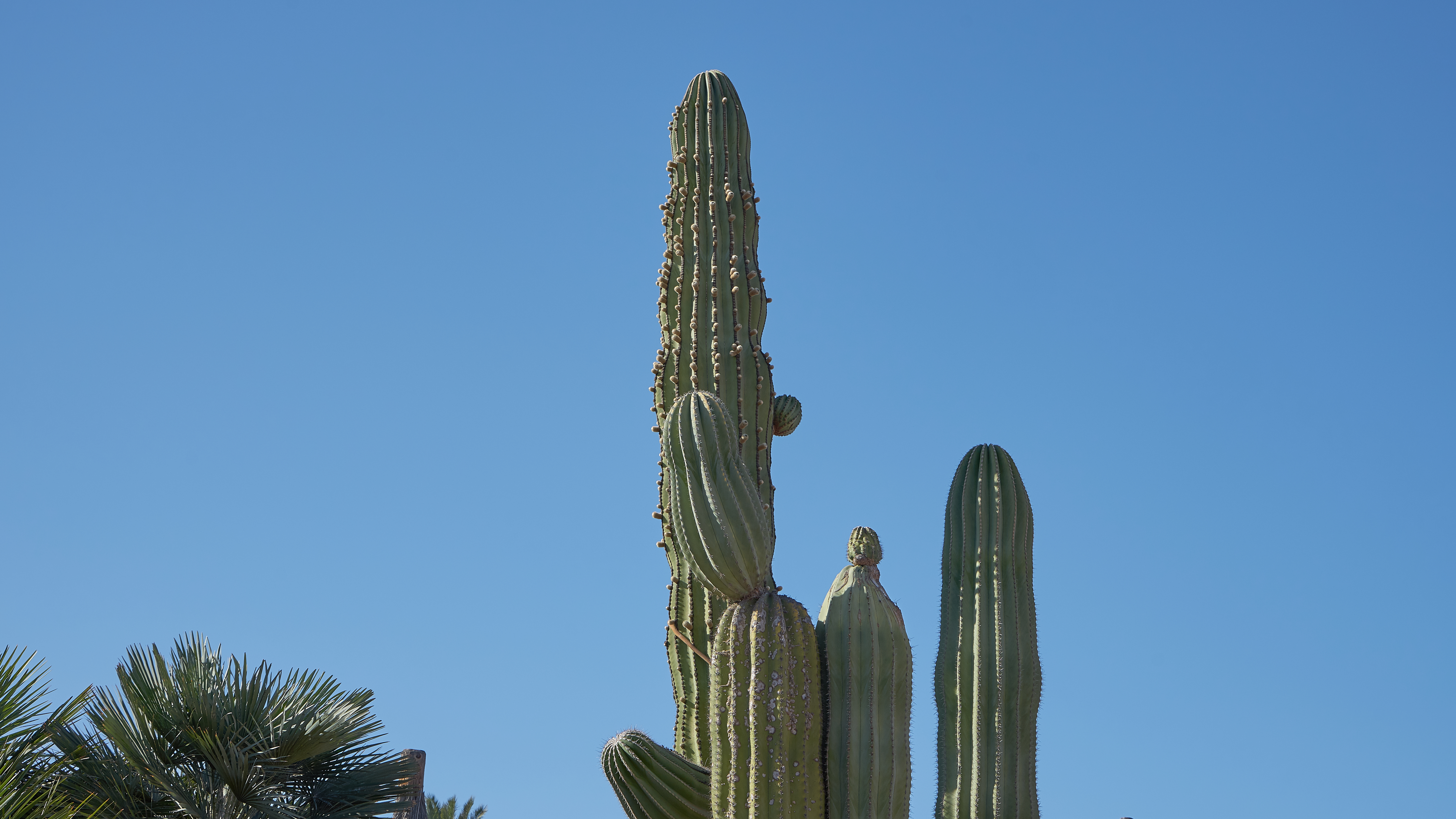 Lanzarote (6).jpg