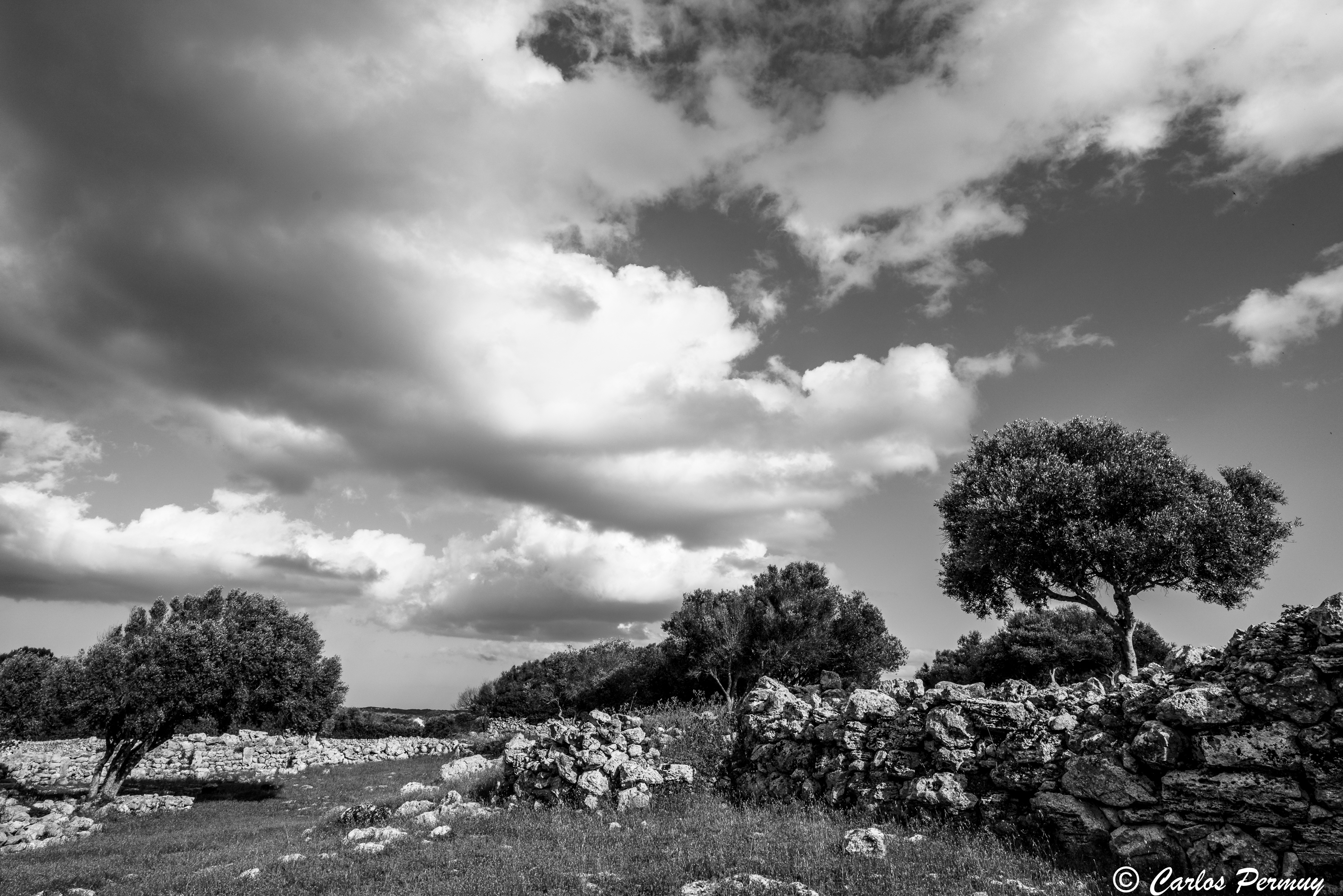 Paisaje en blanco y negro